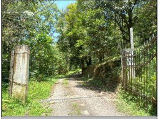 Imagem do imóvel TE63514