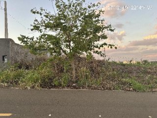 Imagem do imóvel TE41770