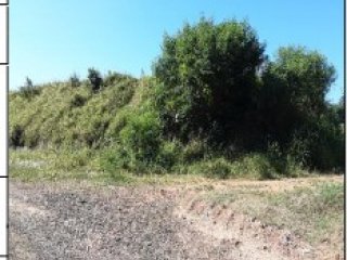 Imagem do imóvel TE84113