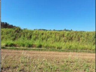 Imagem do imóvel TE96827