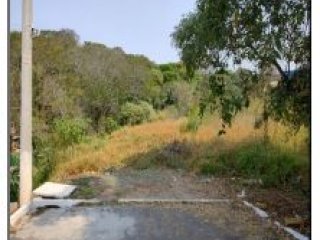 Imagem do imóvel TE19399