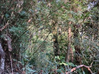 Imagem do imóvel TE91411