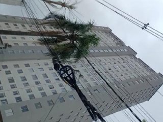 Imagem do imóvel AP71162