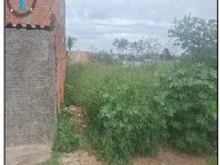 Imagem do imóvel TE61640