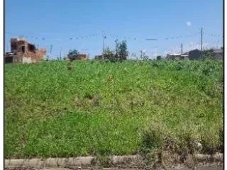 Imagem do imóvel TE79990