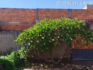 Imagem do imóvel CA33208