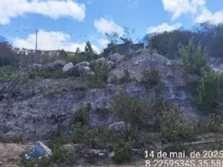 Imagem do imóvel AP16264