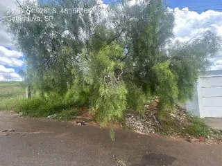 Imagem do imóvel TE24135
